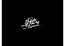 design scripted, signature logo or handwritten autograph